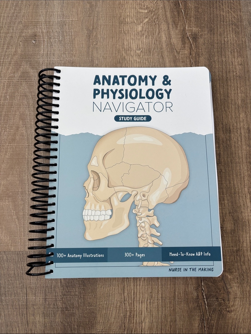 Nurse in The Making Anatomy & Physiology Navigator Study Guide - Blue